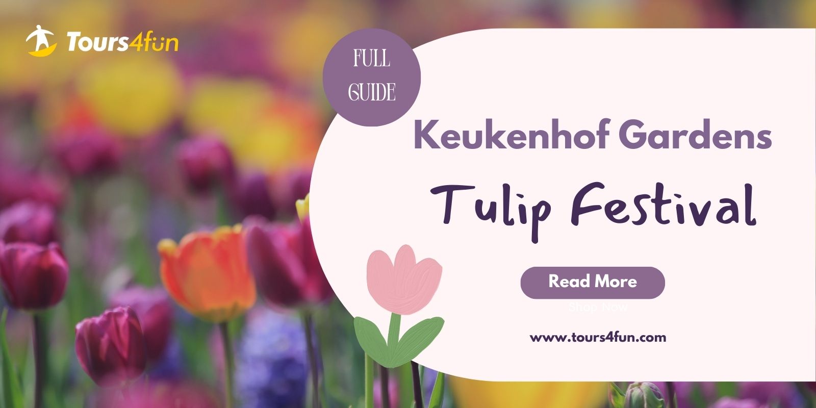 Spring Guide to Keukenhof Gardens Tulip Festival 2026
